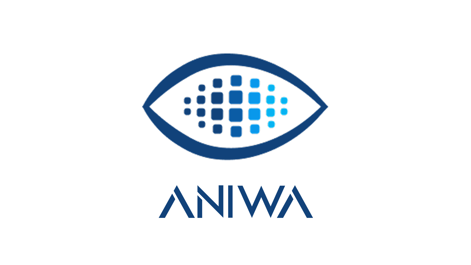 Aniwa open-source data profiling tool preview